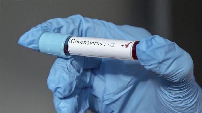 Azərbaycanda daha 10 nəfər koronavirusdan öldü: 1175 yeni yoluxma