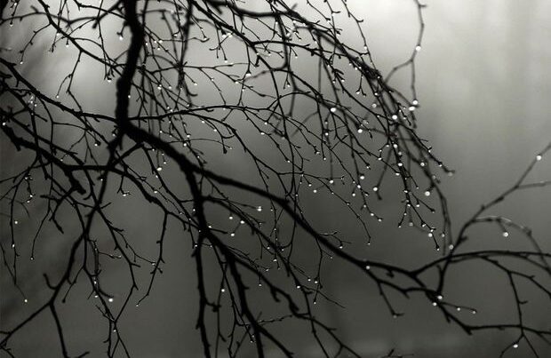 Sabahın havası: Yağış, qar, şaxta…