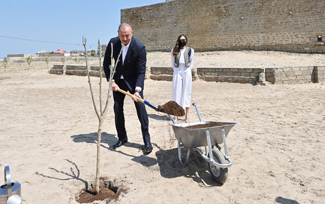 Prezident xanımı ilə Pirşağıda ağac əkib – Foto