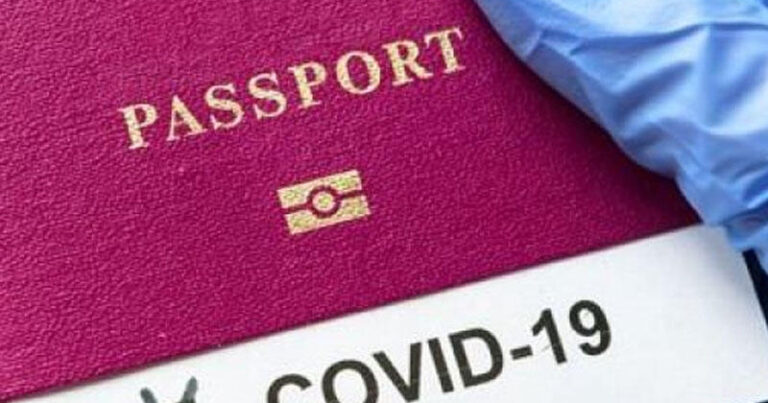 Saxta COVİD pasportu satan həkimlər saxlanlıldı