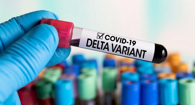 “Delta” ştammı üçün xüsusi vaksin hazırlanır