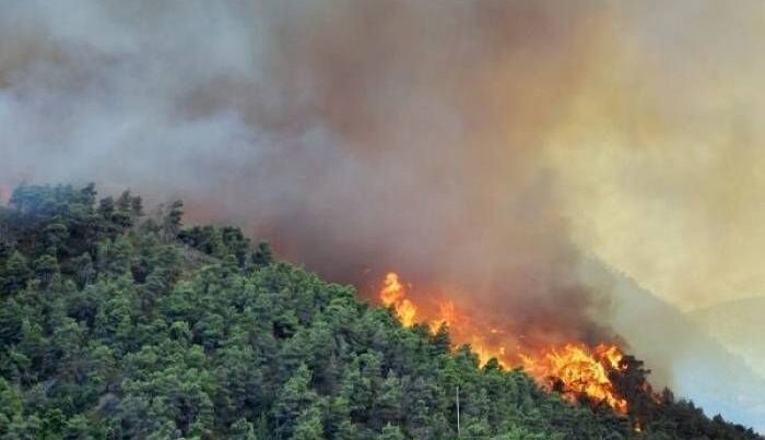 Azərbaycanda da meşə yanğını başladı – SON DƏQİQƏ