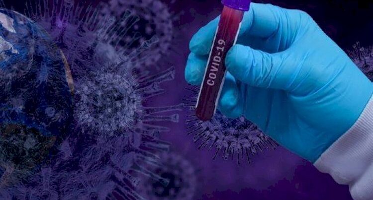 Koronavirusu kim yayır? – ÜST açıqladı