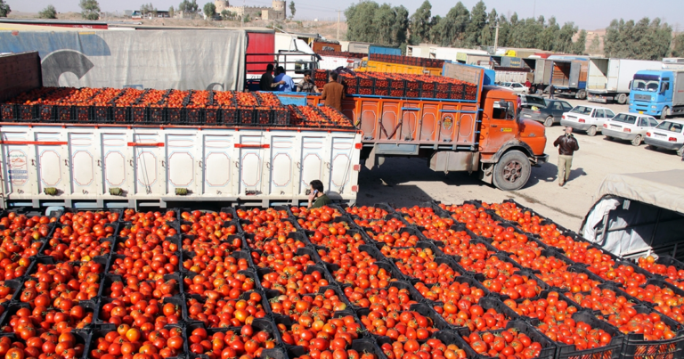433 ton Azərbaycan pomidoru Rusiyaya buraxılmayıb