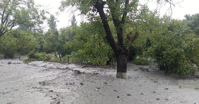 SON DƏQİQƏ: Azərbaycanda bu kəndlər sel suları altında qaldı, YOLLAR BAĞLANDI – FOTO