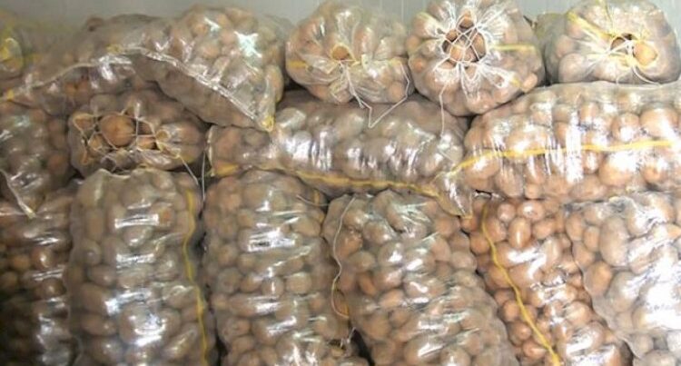 Kartof kəskin bahalaşdı – Video