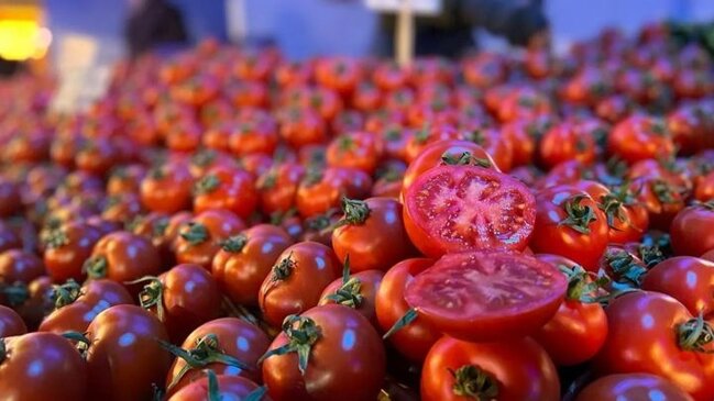 Türkiyə pomidor ixracından gəlirlərini kəskin artırıb