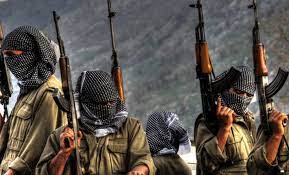 Türkiyə ordusu Suriyanın şimalında yeni əməliyyat keçirib, 12 terrorçu məhv edilib