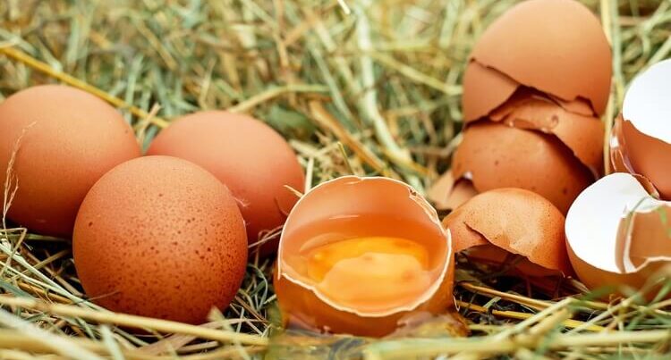 Yumurta sarısının rəngi – Bu seçimi səhv etməyin, yoxsa…