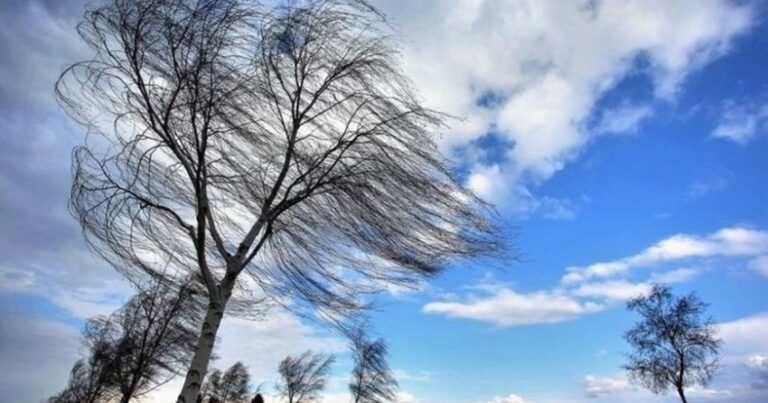 Güclü küləklə əlaqədar xəbərdarlıq edilib