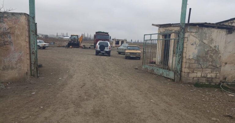 Qəsdən ferma yandırıldı – 230 baş heyvan tələf oldu – FOTO