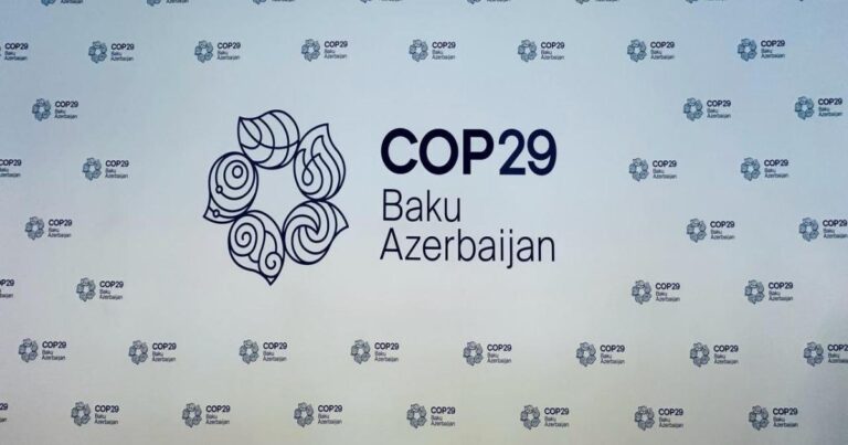 COP29-un keçirilməsinə ayrılan vəsaitin auditi aparılacaq