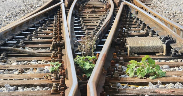 Dəmir yolu stansiyasından oğurluq edən şəxs saxlanıldı