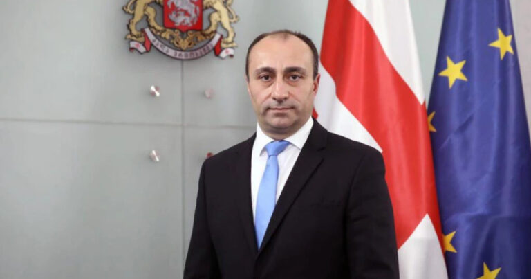 Gürcüstanın yeni daxili işlər naziri məlum oldu