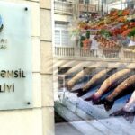 Təhsil Nazirliyinin “balıq sovqatı” – REPORTAJ