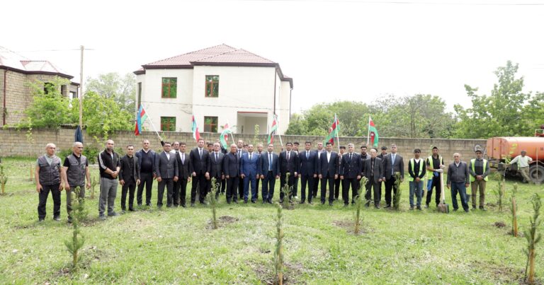 Xaçmazda ağacəkmə aksiyası keçirilib – FOTO/VİDEO