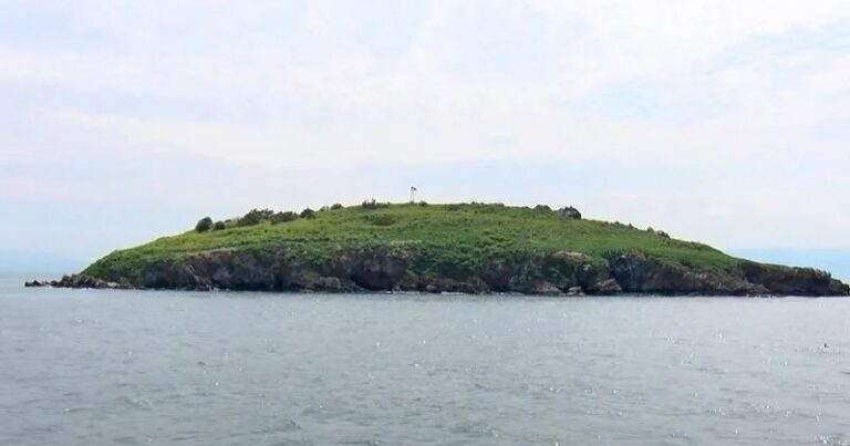 Xəzərdə yeni ada peyda oldu