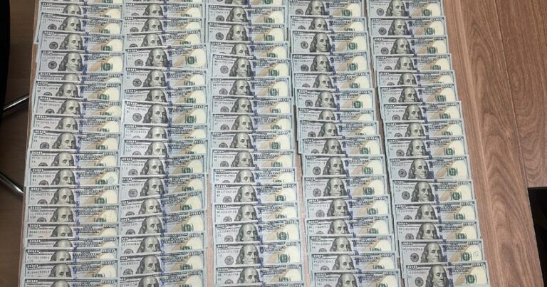 Naxçıvanda evdən 22 min dollar oğurlayan şəxslər saxlanılıblar