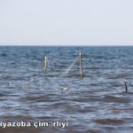 Xaçmazın Niyazoba çimərliyində təhlükə saçan balıqçı torları – VİDEO
