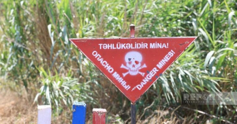 Ötən həftə 1300 hektardan çox ərazi minalardan təmizlənib