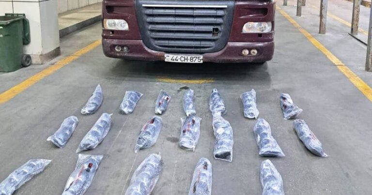 Sərhəddə 7 milyon manatlıq qaçaqmal tutulub