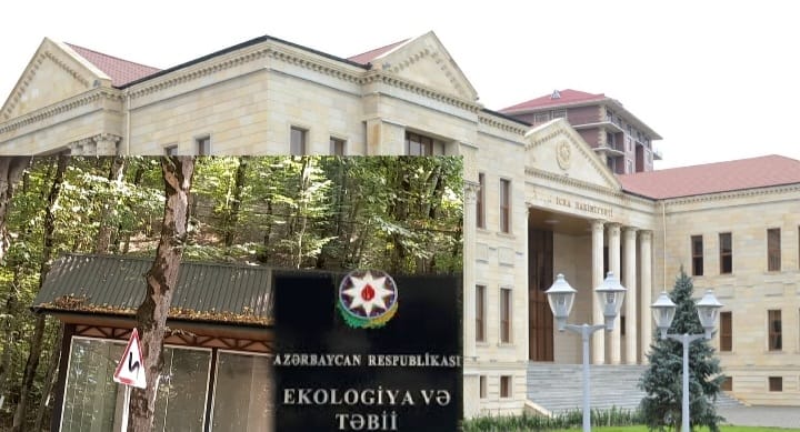 Qəçrəş kəndindəki meşə massivlərində qanunsuz zəbtlərlə bağlı Quba RİH açıqlama yaydı – VİDEO