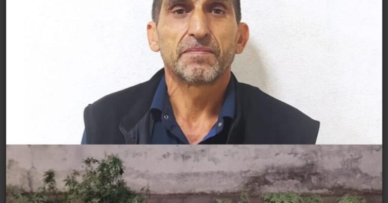 Həyətində narkotik bitki yetişdirən şəxs tutulub
