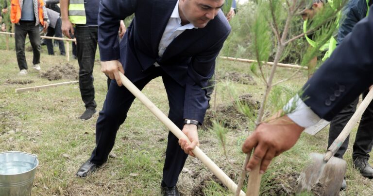 Xaçmazda 27 Sentyabr – Anım Günü ilə əlaqədar ağacəkmə aksiyası keçirilib – FOTOLAR