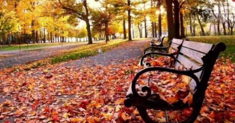 Noyabrın hava PROQNOZU Noyabrın hava PROQNOZU