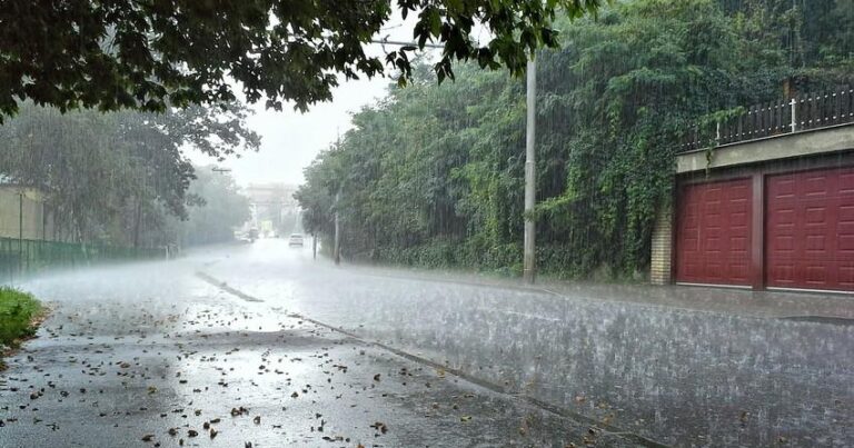 Sabaha olan hava proqnozu Sabaha olan hava proqnozu