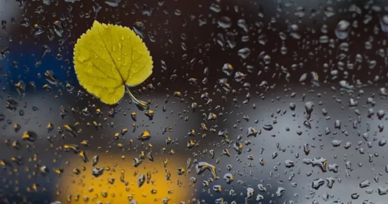 Azərbaycanın bəzi rayonlarında leysan yağacaq, dolu düşəcək