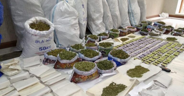 Bu il 185 milyon manatlıq narkotik dövriyyədən çıxarılıb