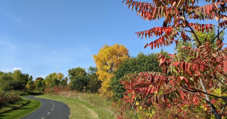 Sabaha olan hava proqnozu