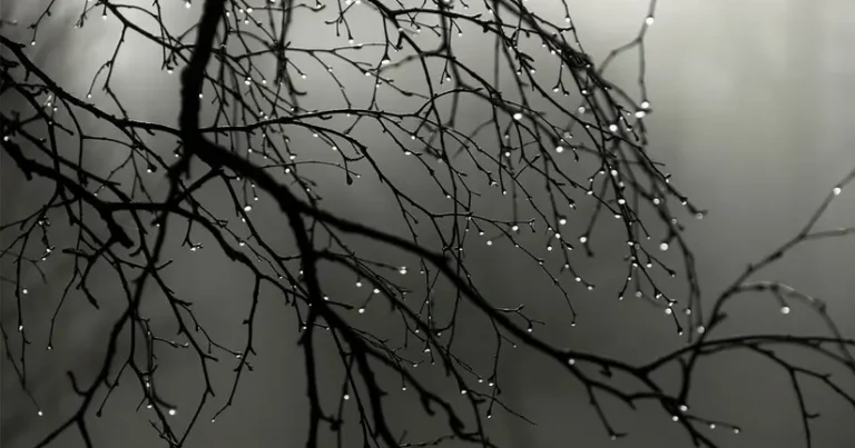 Sabah bəzi yerlərdə çiskin olacaq – PROQNOZ