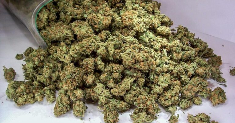 Bakıda 29 kq marixuana aşkarlanıb