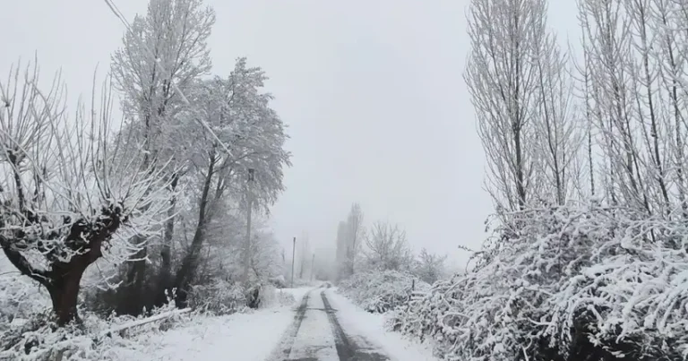 Faktiki hava açıqlanıb
