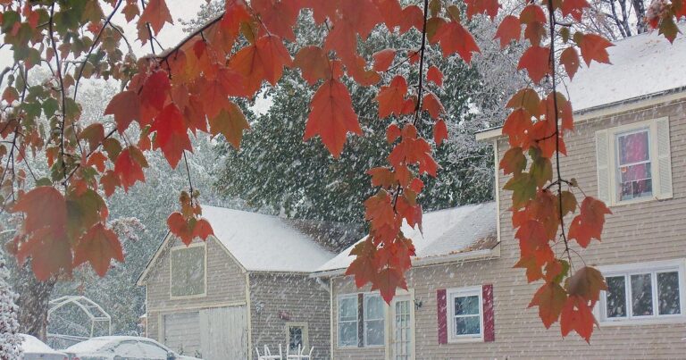 Sabaha olan hava proqnozu