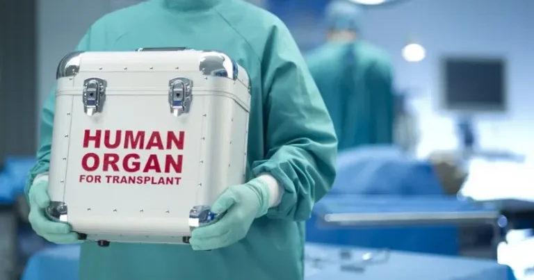 Azərbaycanda son bir ildə 11 meyitdən orqan köçürülməsi həyata keçirilib