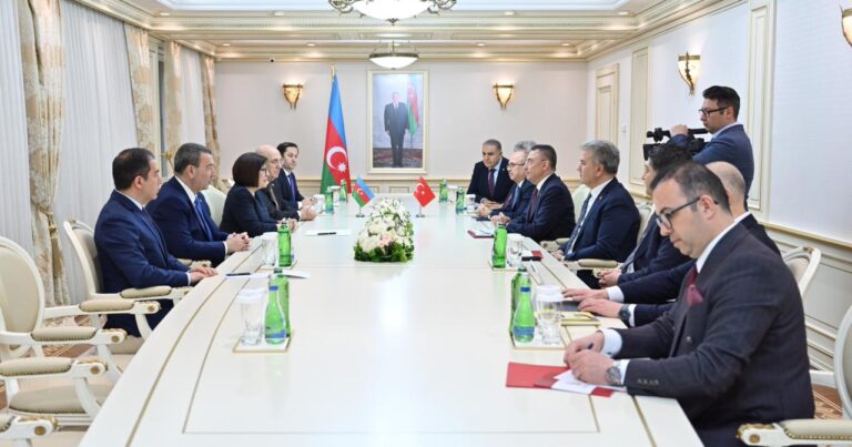 Sahibə Qafarova Fuad Oktay ilə görüşüb