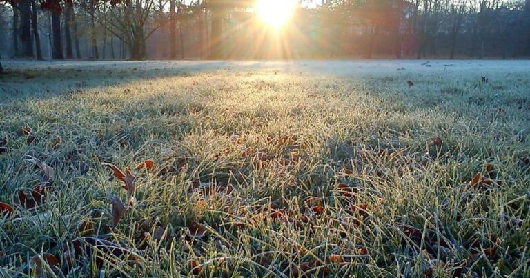 Bazar gününə olan hava proqnozu açıqlanıb