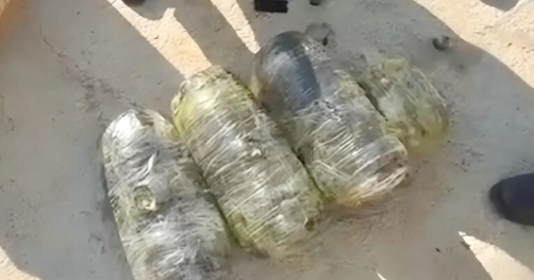 Zərdabdan Bakıya narkotik gətirdi – Saxlanıldı