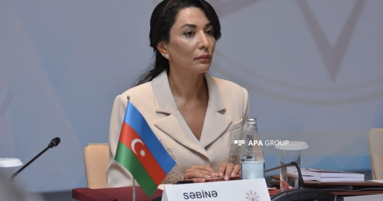 Ombudsman özünə daha iki səlahiyyət verilməsini istəyir