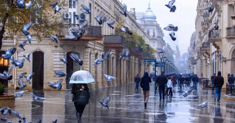 “Bakı və Abşeron yarımadasına düşən yağıntının miqdarı normadan 6 dəfə çox olub” – FAKTİKİ HAVA