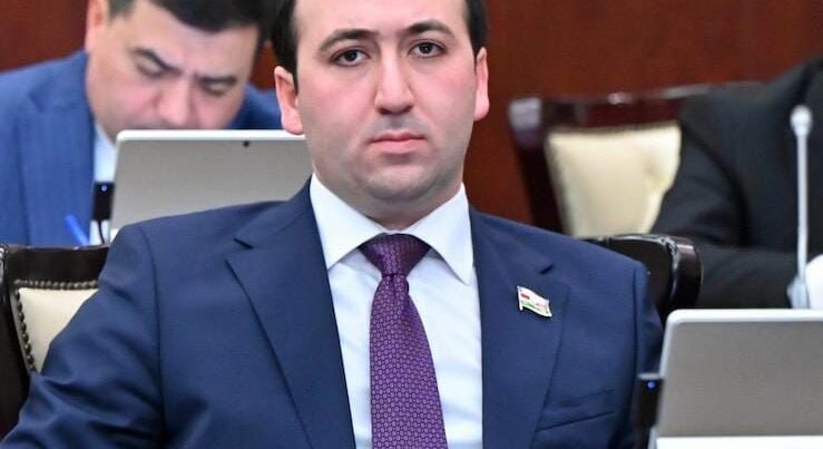 Azərbaycan–Gürcüstan: regional təhlükəsizlik və iqtisadi tərəfdaşlığın perspektivləri