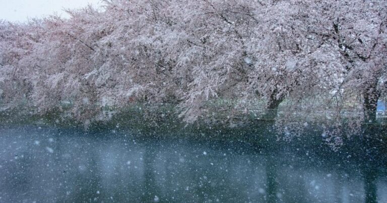 Bəzi ərazilərdə qar yağacaq – XƏBƏRDARLIQ