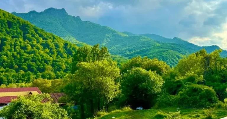 Ağdərə və Xocalı rayonlarına növbəti köç karvanları yola salınıb
