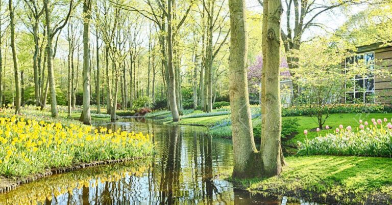 Sabaha olan hava proqnozu