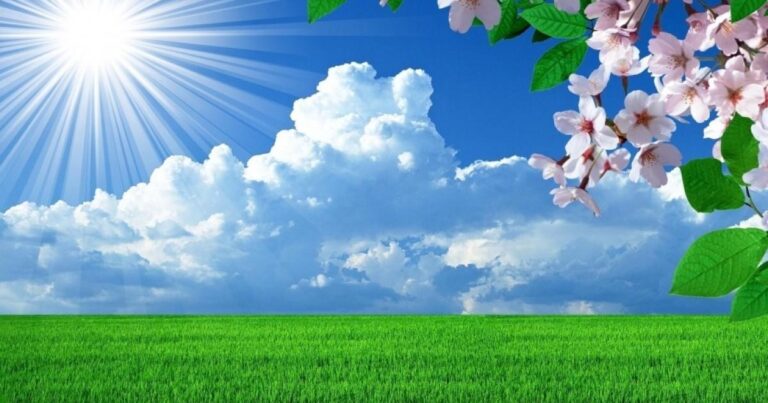 “İqlim haqqında” qanun layihəsi hazırlanıb