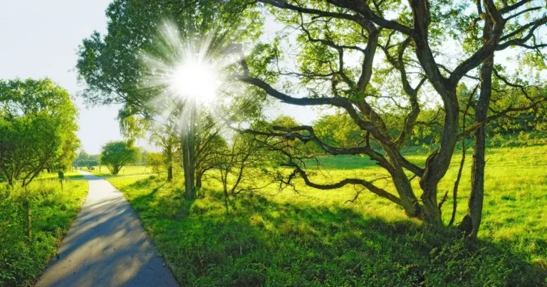 Aprel ayına olan hava proqnozu açıqlanıb