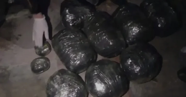 Masallıda 14 kiloqram narkotik vasitə aşkarlanıb